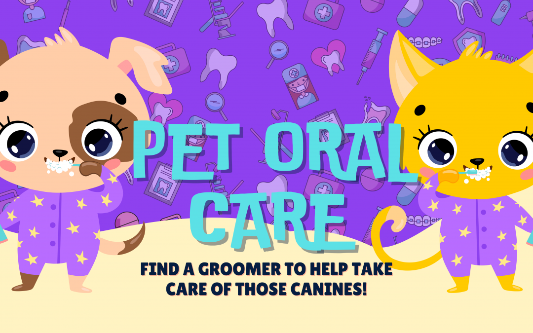 Find a Groomer to Help Take Care of Those Canines!